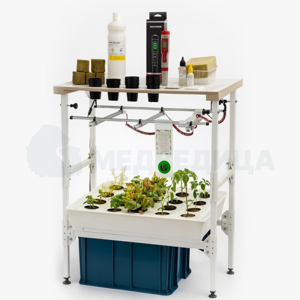 Комплект лабораторного оборудования «От зародыша до взрослого растения (организма)» со стартовым набором расходных материалов. 